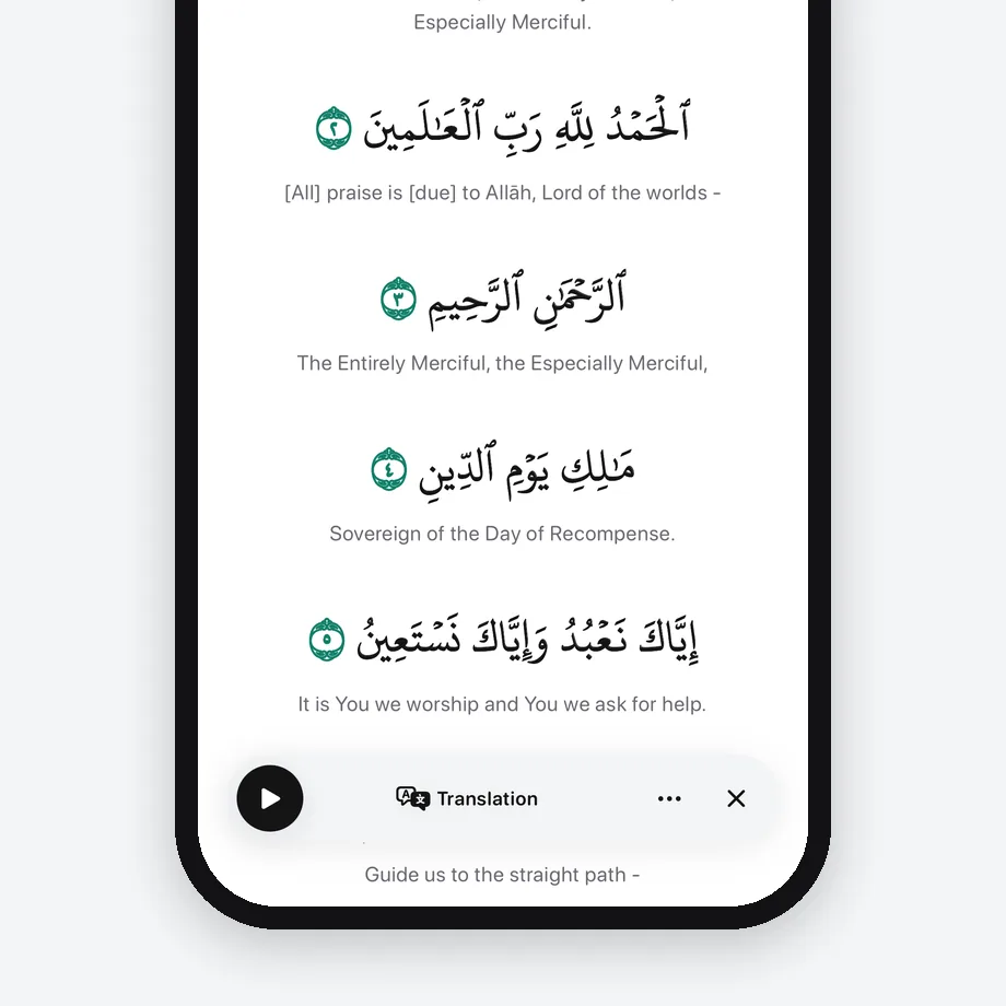Reading view with translation